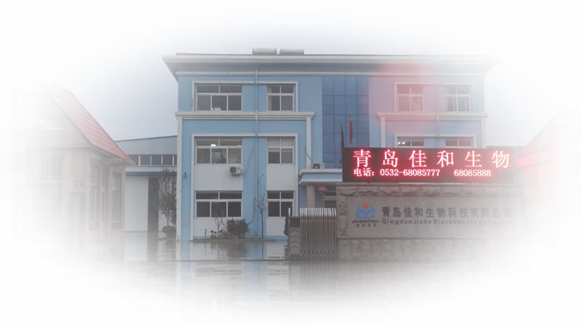 上海腾渤医药科技有限公司